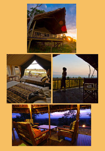 Foxes Safari Camp where else could you stay