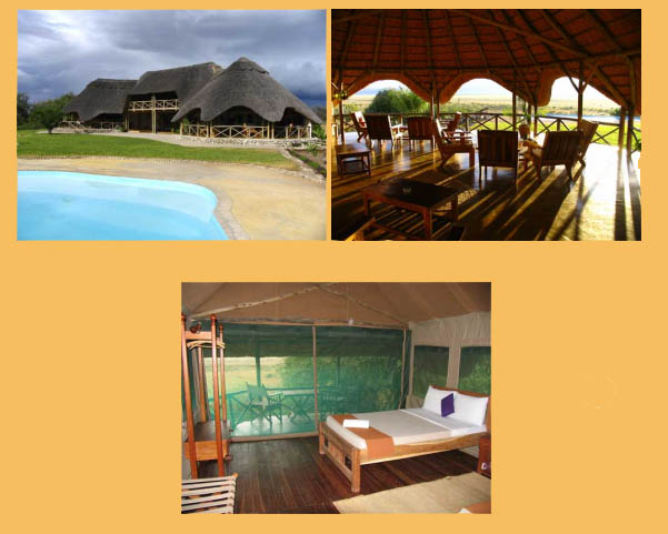 Pictures of the Wild Africa Manyara Tented Lodge