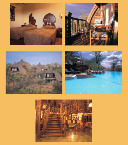 Pictures of the Serengeti Serena Safari Lodge