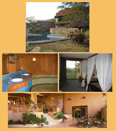 Pictures of the Serengeti Sopa Lodge