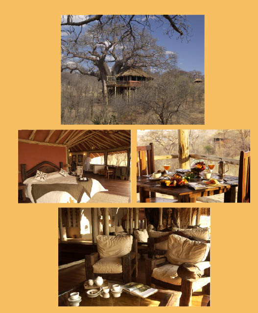 Pictures of the Tarangire Tree Tops